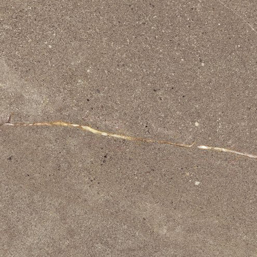 Madison Noce Grip R11