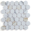 Penny Marble Large Calacatta Honed 2 x 2